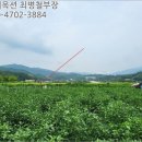 여주-1083 이미지