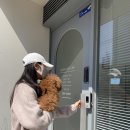 도기그룸 이미지