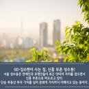 신흥집
