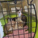 형제농약 이미지