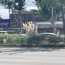 칠곡바른송치과의원 네이버블로그