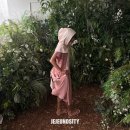 씨티크리닝 이미지