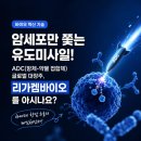 리가켐바이오 주가 전망, 국민성장펀드 5천억 투자와 흑자전환 모멘텀 분석
