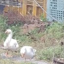 유영준 농장 네이버블로그