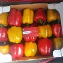 신선한농장 이미지