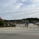장경리 한방통닭