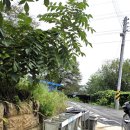 대이산매점 | 서울 근교 안성캠핑장 대이산숲속캠프 A-2사이트 내돈내산 추천 캠핑장