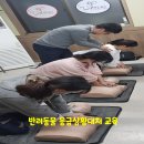 도그아트켄넬 이미지
