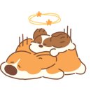 광진백화점약국 이미지