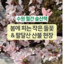 들꽃작은도서관 | [후기] 3월 수원 월간숲산책 - 팔달산