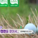 에덴농장 이미지