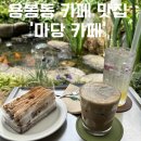 블랙빈프레소 | 광주 용봉동 카페 맛집 '마당' 디저트와 커피 모두 만족한 솔직 후기
