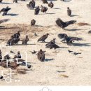 2025 낙동강 독수리 포럼 이미지