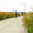 금강변길 이미지