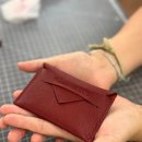 폴리나레더