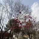 서운농장 이미지