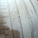 타이어라인 이미지