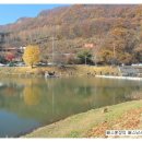 신암낚시터 | [출조후기] [송어] 2018. 11. 4 신암낚시터