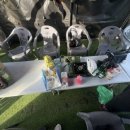 동열이야구장 이미지