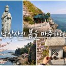 옥류천이야기길(소나무숲길) | 양양 낙산사의 봄을 마주하다｜홍예문부터 해수관음상, 홍련암까지 마음이 쉬어가는 길