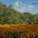 동남(풍세)-21-01 | {천안, 맛집, 존맛, 데이트, 추천!} 피노카페 천안 피노카페 천안, 자연 속 힐링 공간