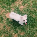 코나 펜션 이미지
