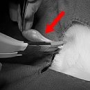 산호동물병원 이미지