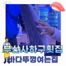 바다뚜껑여는집 | 사하구맛집 숙성회 맥염회 등 바다뚜껑여는집 회마카세 후기