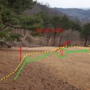 이백지 묘 이미지