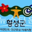 횡성군청사 이미지