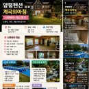 양평펜션 추천! 계곡의아침 사루비아 객실 후기, 수영장과 계곡까지 즐긴 힐링 여행