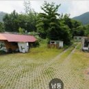 김삿갓면-10 Daum카페