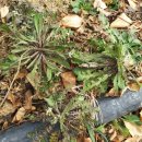 초촌농장 이미지