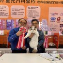 랙돌캐터리파이널돌 이미지