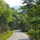 편백향기 이미지