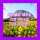 동양관광여행사 | 대구출발 제주도 패키지 3박4일 여행사 / 대구공항 / 대구_특가_제주도_3박4일 #관광패키지 #석조