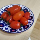 단마토유통