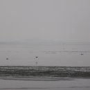 바다스케치 이미지