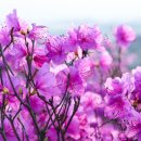 구래약수터 이미지