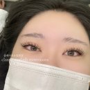 블루미니즈 이미지