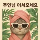 김냐옹 미용실 이미지