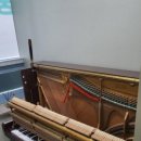 피아노숲 이미지