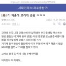 고파스 난리났었대 이미지