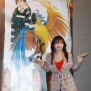 오마이캣츠 오마이뉴스