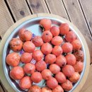 지리산 순심이네 캠핑 민박 이미지