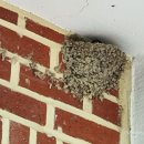 내춘경로당 이미지