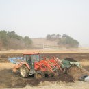 모레골 농장 이미지