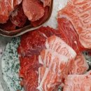 참치의신 이미지