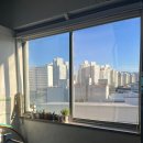 윈헬스 이미지