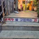 송정역 술집, 일주일에 두번 다녀온 크림 생맥주 존마탱 [일번지호프] 후기